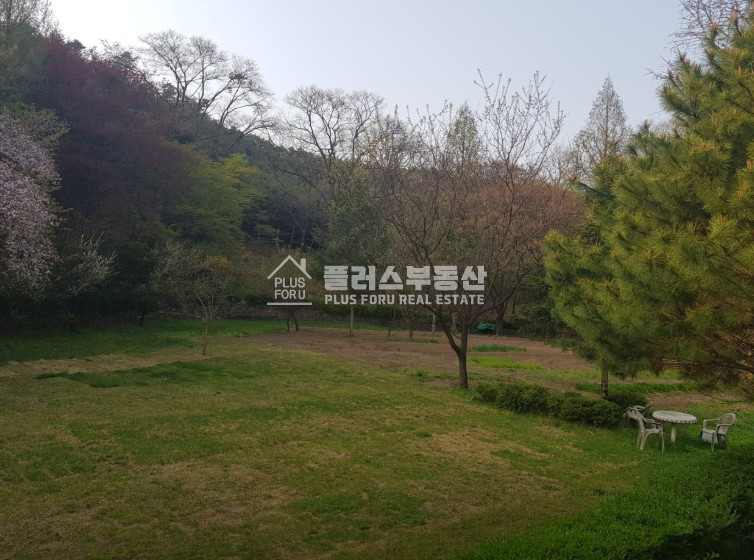 경기 양주시 마전동 제1동 양주신도시주변 시설좋은 전원카페 매매 매물번호 10088 사진 4